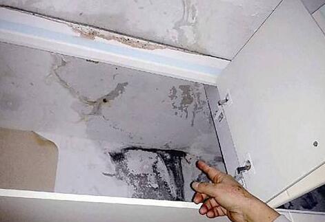 屋面屋頂防水